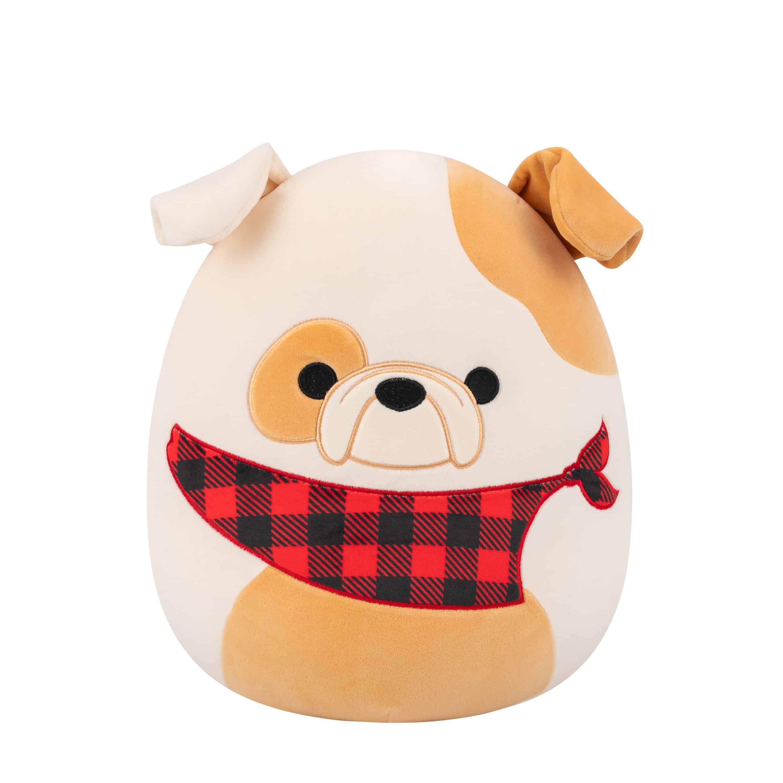 Squishmallows Brock Bulldog 30 cm pehmo 1 Squishmallows Brock Bulldog-muksumassi.fi