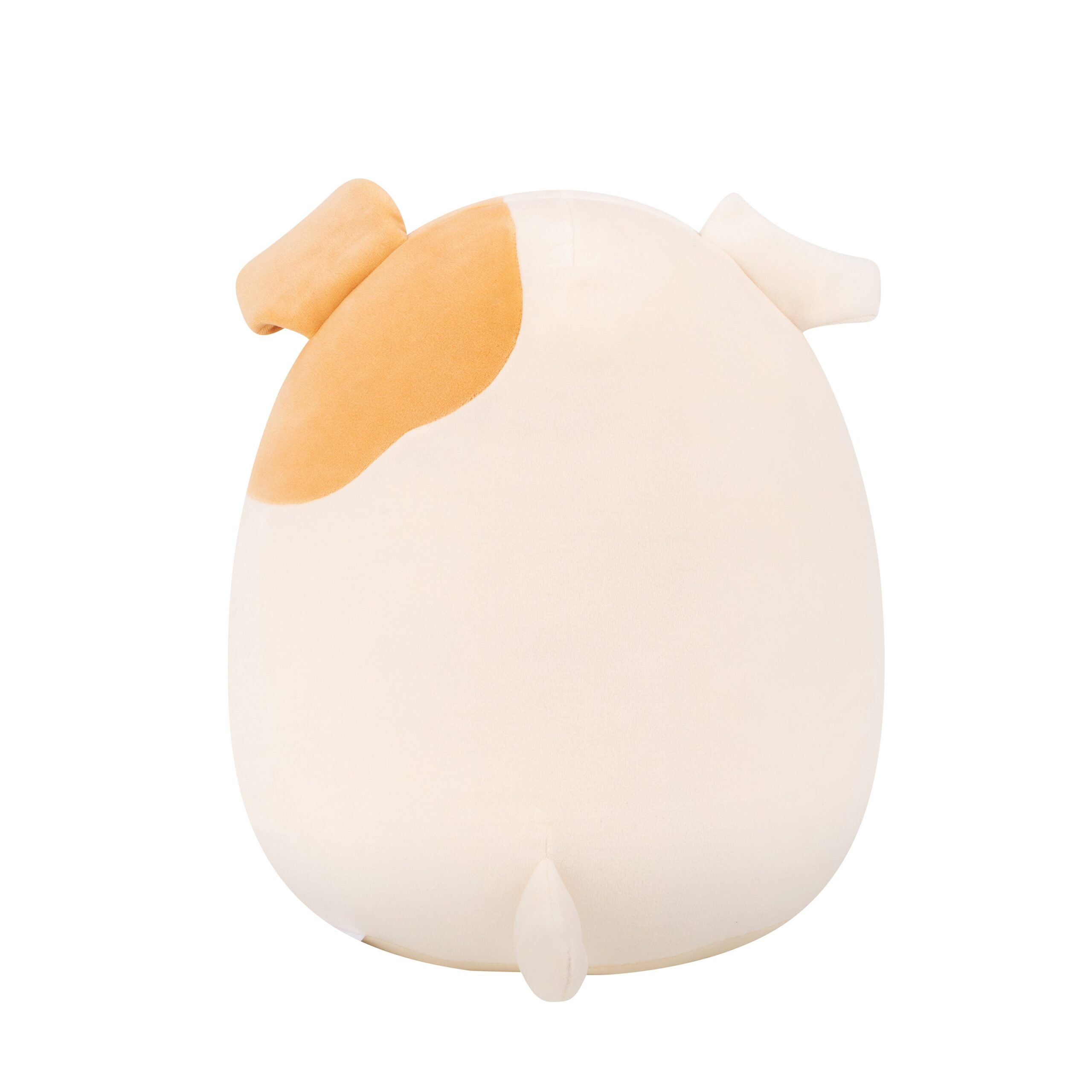 Squishmallows Brock Bulldog 30 cm pehmo 2 Squishmallows Brock Bulldog-muksumassi.fi